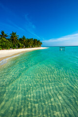 Tropical island beach landscape exotic shore coast. Tranquil closeup calm sea water waves with palm trees. Beautiful Panorama. Summer vacation, holiday amazing nature. Relax paradise, Maldives.