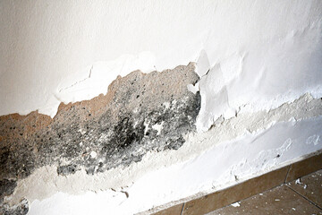 Peeling painted concrete wall. Leaking rain cause the wall and ceiling cracked.