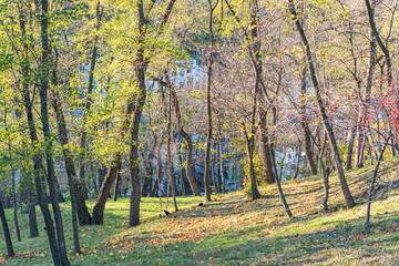 Obraz premium Autumnal scene on a riverbank, with bare trees and fallen leaves in orange and yellow River meandering in the background, also showing autumn foliage Warm lighting suggests early morning or late af