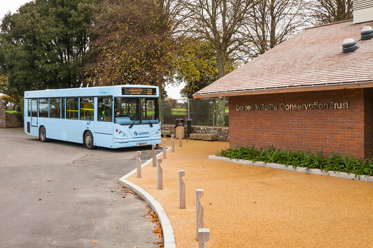 The blue bus stops at durrell wildlife conservation trust red brick entrance. Jersey, UK