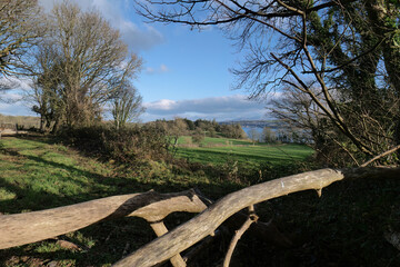 Sunlit, grassy field with distant water, framed by bare trees and a fallen log, under a blue sky with scattered clouds, creating a peaceful, natural vista in Isle of Anglesey - Wales - UK