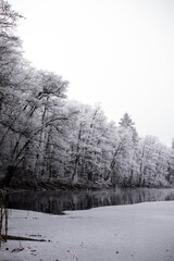 Winter❄️ © diana