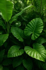 Lush tropical foliage and vibrant green leaves creating a serene dense jungle background for natural environment concept and ecological beauty