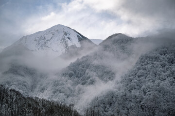 Mountain landscape in winter with frost and fog on the forest. Pyrenees France