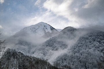 Mountain landscape in winter with frost and fog on the forest. Pyrenees France