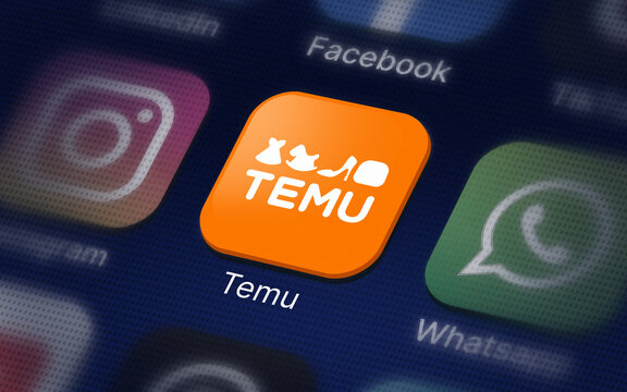 TEMU Company logo on the smartphone