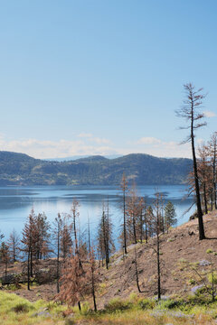 Okanagan Lake at Westside Road during a spring season in West Kelowna, British Columbia, Canada