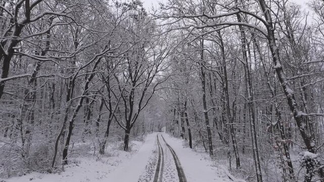 Winterzauber im Burgenland: Drohnenflug &uuml;ber schneebedeckten Waldweg