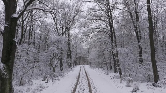 Winterzauber im Burgenland: Drohnenflug &uuml;ber schneebedeckten Waldweg