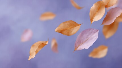 Blue sky with orange and pink leaves falling from the trees