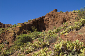 Fototapeta premium Cuatro Puertas complex of caves in the south of the municipality of Telde, Gran Canaria