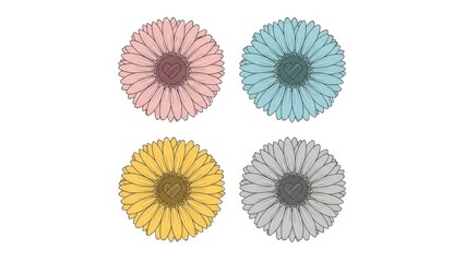 Floral Arrangement: Gerbera Daisy Collection