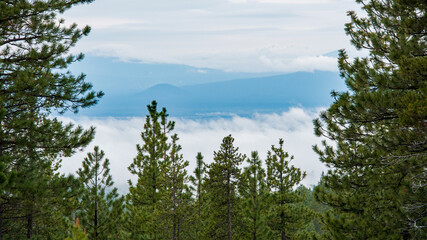 Deschutes National Forest