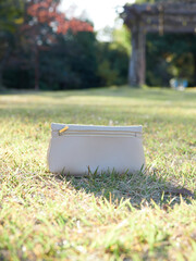 秋の昼の公園の芝生にある白色の財布の様子