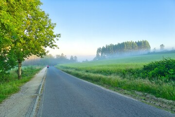 길거리, sky, 경관, 네이처, 나무, 여름, 농촌, 국가, 경로, green, 아스팔트, 길, 목초, 시골, 간선도로, 봄, 여행, 들판, 구름, 거리, 레인, 대지