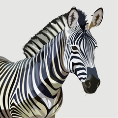 Fototapeta premium Zebra