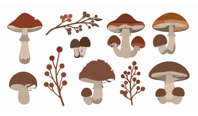 Autumn mushrooms and berry branches hand drawn fall vector illustration set © Hosneara