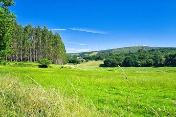 경관, 목초, 들판, sky, 네이처, 목초지, green, 여름, 고개, 시골, 봄, 농촌, 나무, 구름, blue, 마운튼, 국가, 수평선, 경작, beautiful, 계절