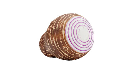 3D Red Onion Cross-Section with Outer Skin on transparent background
