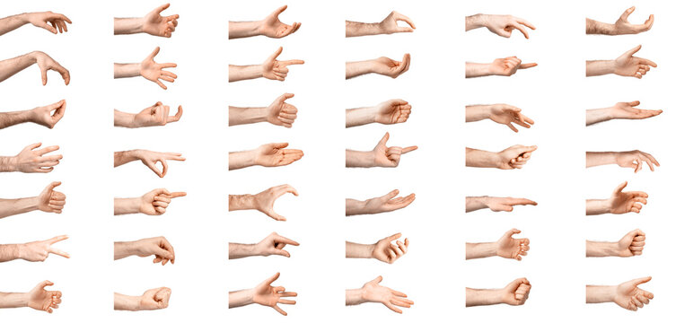 Male hands isolated on white. Collection of gestures - Powered by Adobe