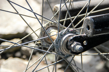 Part of a bicycle wheel with the hub, spokes, and axle nuts dirty and slightly rusty.