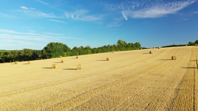 Round hay bales scattered across a harvested wheat field under a clear blue sky in the Nivernais countryside, France. Lush green trees border the rural landscape, evoking a peaceful summer atmosphere.