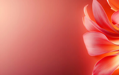 Pink petals background design flower floral soft