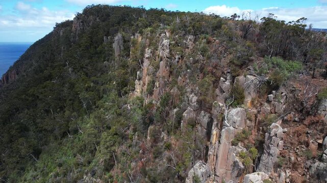 Jurassic Dolerite Cliffs, Great Cliff Lookout, Fluted Cape Walk, South Bruny, Tasmania, Australia - Drone Shot