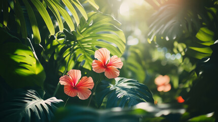 Sunlit Tropical Hibiscus in Lush Jungle Garden
