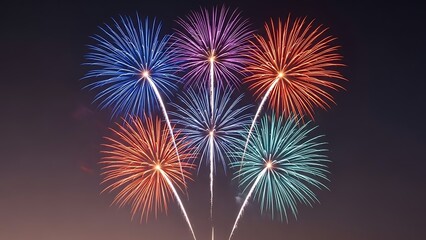 Vibrant night sky fireworks display