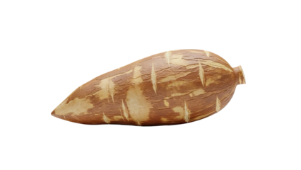 3D Cassava root tuber transparent background