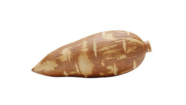 3D Cassava root tuber transparent background