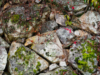雨の中、兵庫県豊岡市の出石町、出石城址を歩く