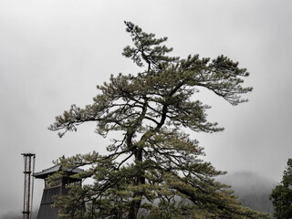 雨の中、兵庫県豊岡市出石町を散策