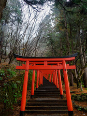 雨の中、兵庫県豊岡市の出石町、出石城址を歩く