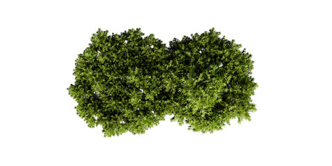 Top-Down Tree Canopies &ndash; Dense Green Foliage for Landscape and Environmental Design Perspectives