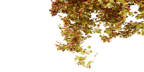 Autumn Tree Canopy &ndash; Vibrant Seasonal Foliage in Red, Yellow, and Green for Nature-Inspired Design