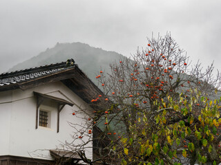 雨の中、兵庫県豊岡市出石町を散策