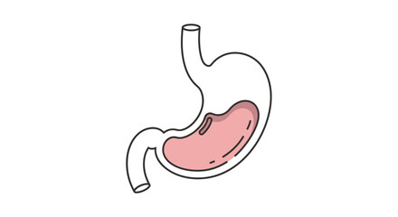 Obraz premium Conceptual Outline Illustration of Human Stomach with Acid Content, Representing Digestive System and Health