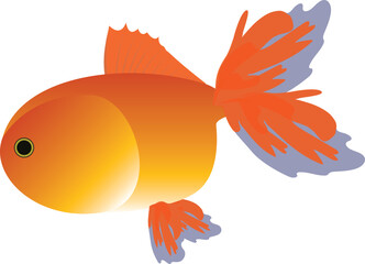 Illustration of a colorful goldfish swimming underwater, commonly kept as an ornamental aquarium fish.