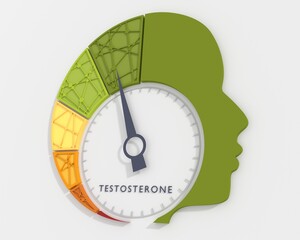 Hormone testosterone level measuring scale with a male head silhouette. 3D render