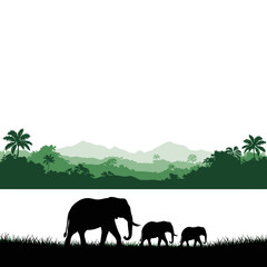 Silhouette of elephants walking across grassy plains with forest backdrop © ayraislam