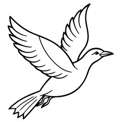 Obraz premium dove of peace