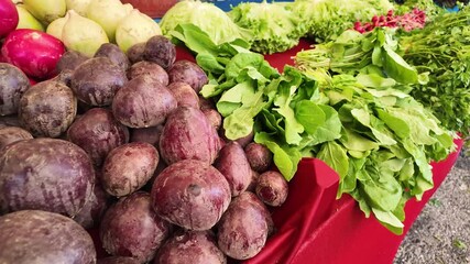 Fresh vegetables at a local market in the morning