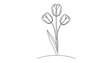 A minimalist line drawing of three tulips. The flowers are depicted with delicate, continuous lines, each with a bell-shaped petal structure. Three tulips on stems in continuous one line art style