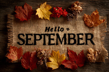 phrase hello september with fall leaves