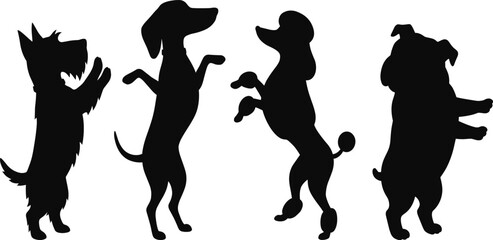 Dog breed silhouette illustration set, upright poses, Scottish Terrier, Dachshund, Poodle, Bulldog, black outline, isolated, vector graphic © Sopon Creatives