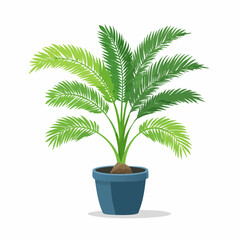 Obraz premium Palme