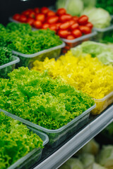 Fresh assortment of colorful lettuce varieties in a grocery store display
