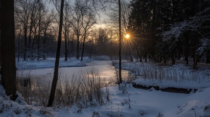Winter forest landscape with snow covered ground frozen pond and setting sun casting light through the trees